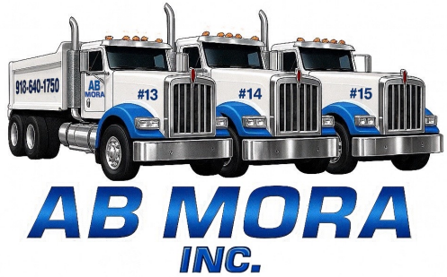 AB Mora Logo